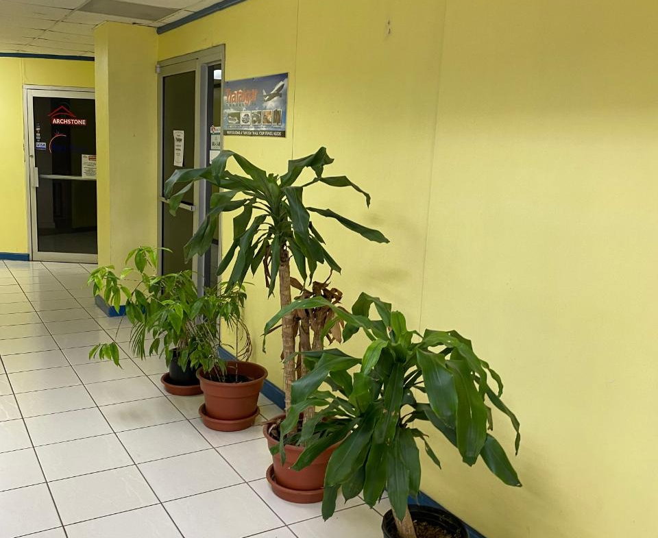 Fifth image of A-48-50 Main Street, May Pen in May Pen, Clarendon, Jamaica - property is For Rent