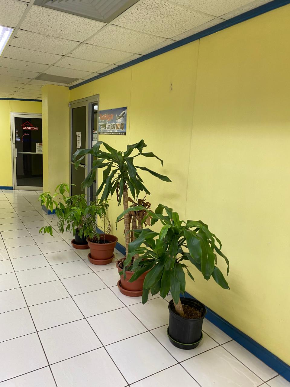 Fifth image of A-48-50 Main Street, May Pen in May Pen, Clarendon, Jamaica - property is For Rent