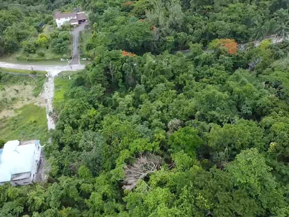 Fifth image of 1035 Cardiff Hall in Runaway Bay, St. Ann, Jamaica - property is For Sale