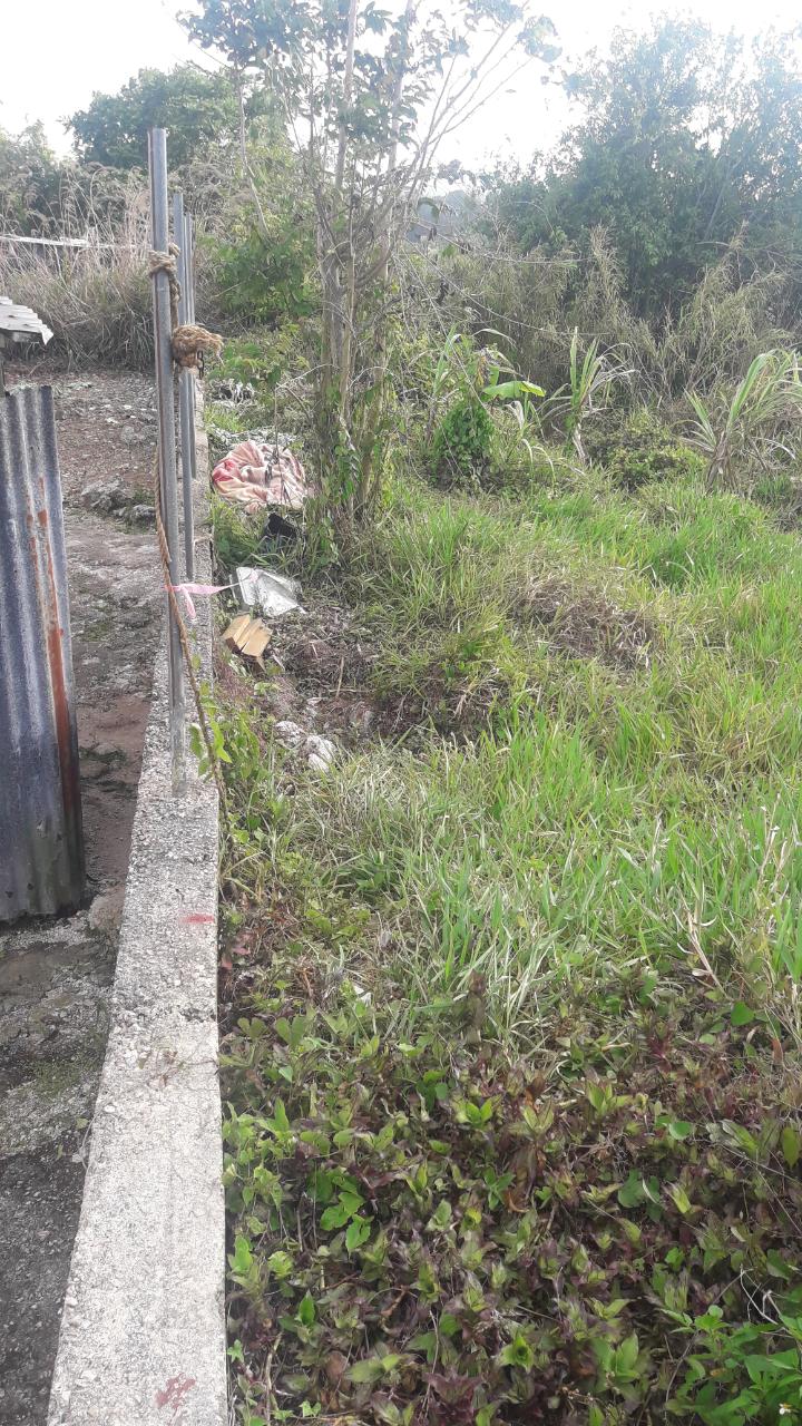 Sixth image of 72- Church Grove in Mandeville, Manchester, Jamaica - property is For Sale