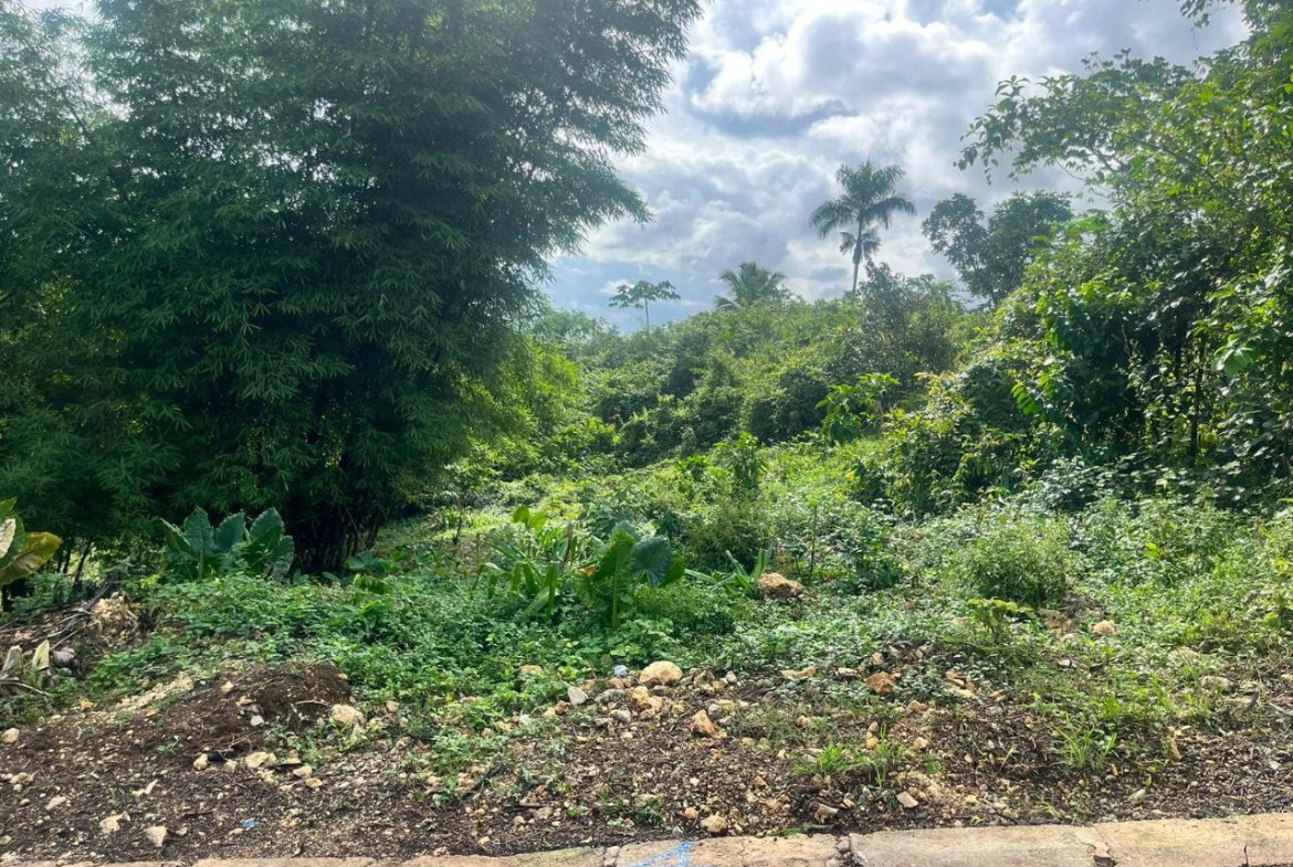 First image of 4-shenton Linstead in Linstead, St. Catherine, Jamaica - property is For Sale