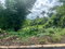 First image of 4-shenton Linstead in Linstead, St. Catherine, Jamaica - property is For Sale