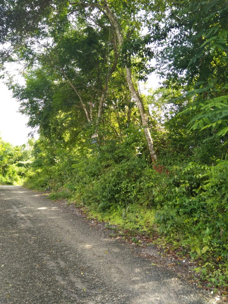 Third image of Brighton, St. Elizabeth in Santa Cruz, St. Elizabeth, Jamaica - property is For Sale