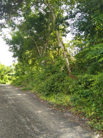 Third image of Brighton, St. Elizabeth in Santa Cruz, St. Elizabeth, Jamaica - property is For Sale