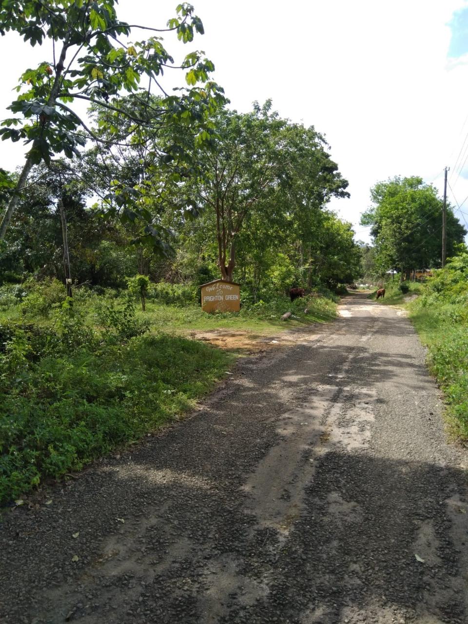 Fourth image of Brighton, St. Elizabeth in Santa Cruz, St. Elizabeth, Jamaica - property is For Sale