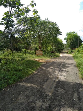 Fourth image of Brighton, St. Elizabeth in Santa Cruz, St. Elizabeth, Jamaica - property is For Sale