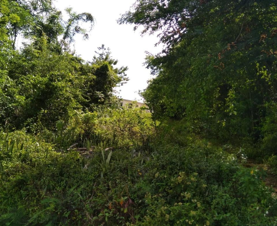 Fifth image of Brighton, St. Elizabeth in Santa Cruz, St. Elizabeth, Jamaica - property is For Sale