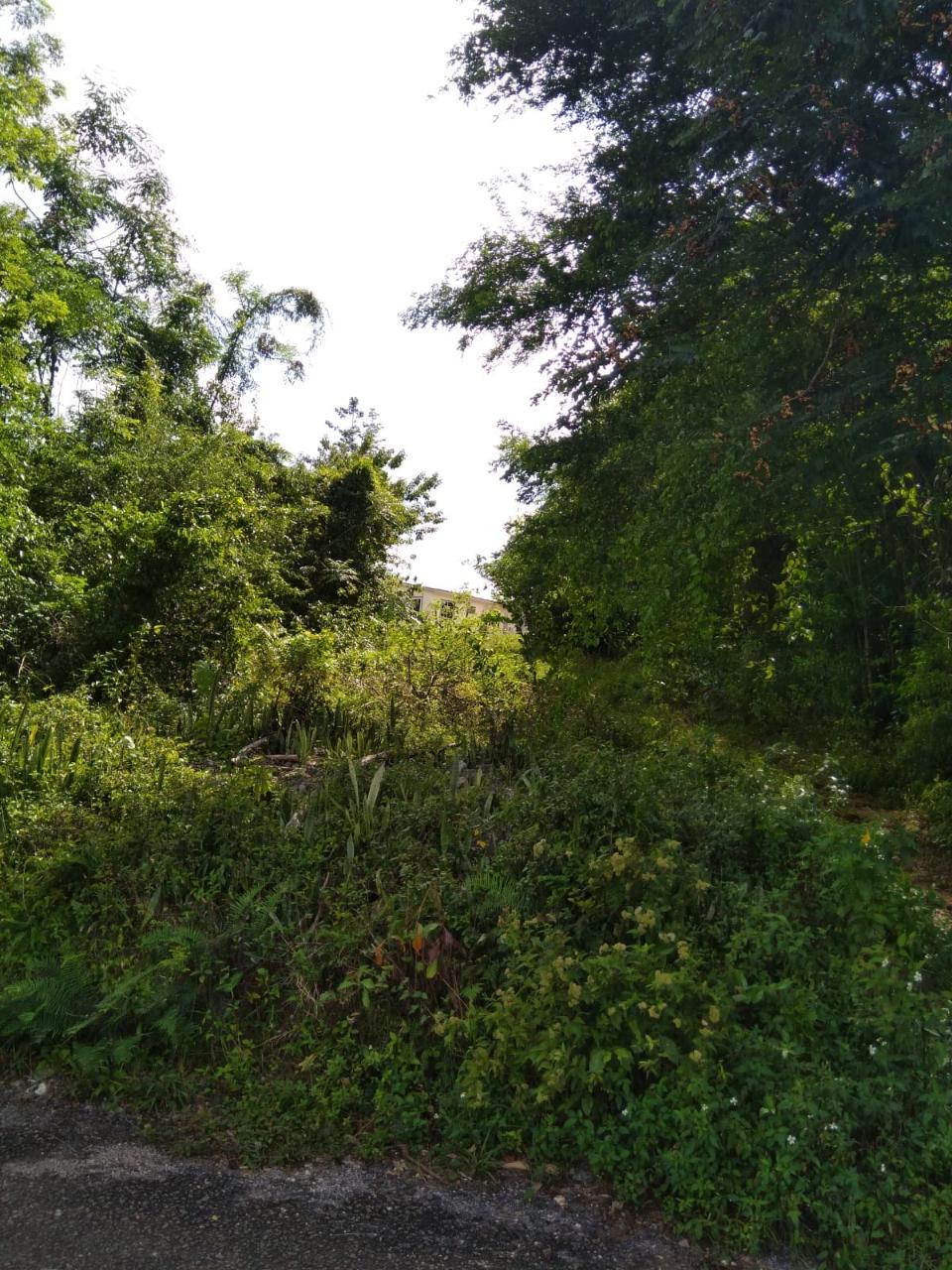 First image of Brighton, St. Elizabeth in Santa Cruz, St. Elizabeth, Jamaica - property is For Sale
