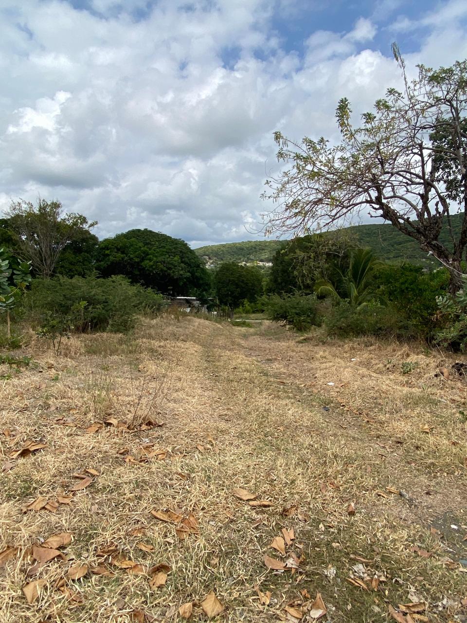 Second image of Part of Pondside Road in Yallahs, St. Thomas, Jamaica - property is For Sale