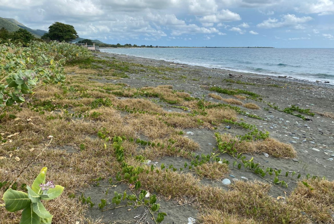 Fourteenth image of Part of Pondside Road in Yallahs, St. Thomas, Jamaica - property is For Sale
