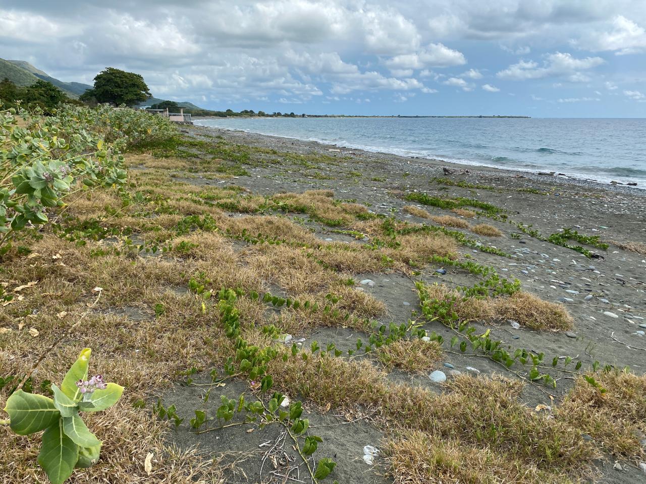 Fourteenth image of Part of Pondside Road in Yallahs, St. Thomas, Jamaica - property is For Sale