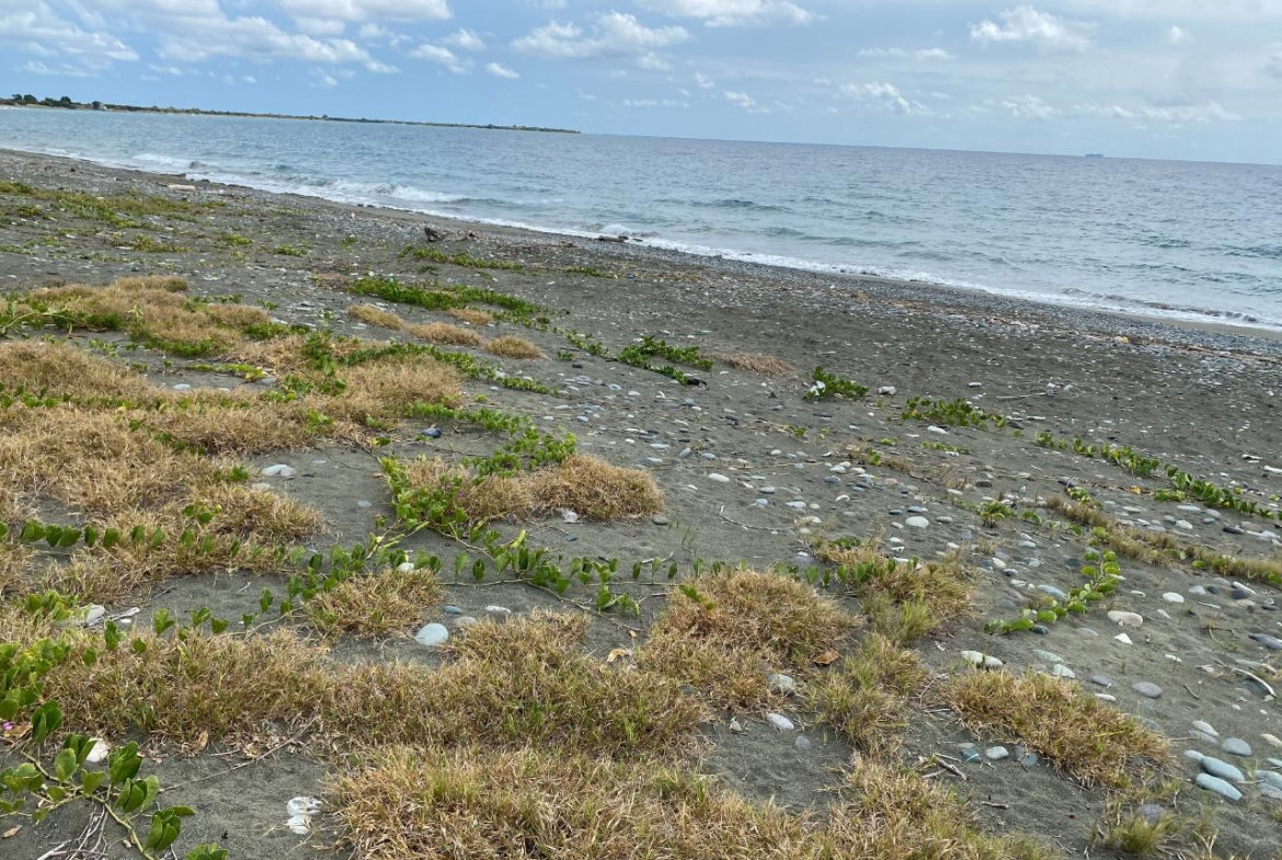 Fifteenth image of Part of Pondside Road in Yallahs, St. Thomas, Jamaica - property is For Sale