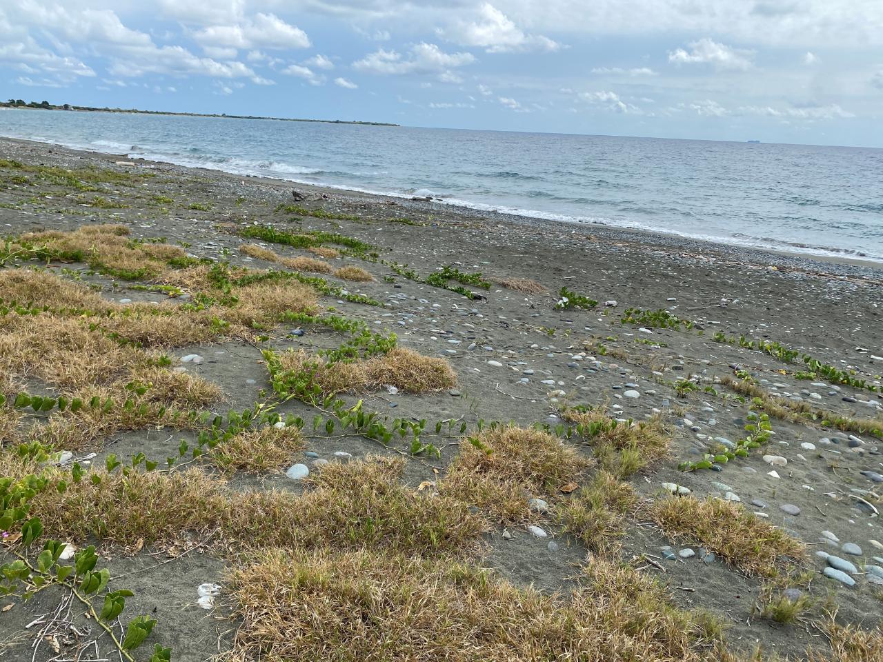 Fifteenth image of Part of Pondside Road in Yallahs, St. Thomas, Jamaica - property is For Sale