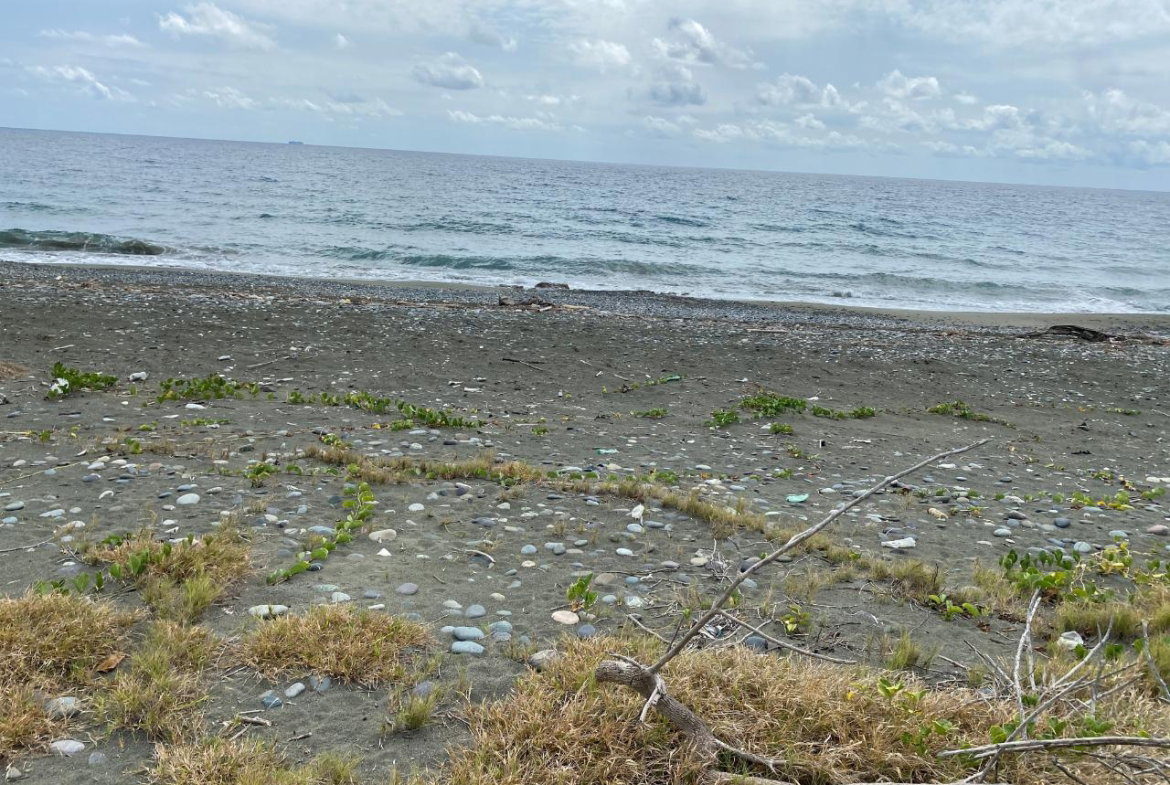 Sixteenth image of Part of Pondside Road in Yallahs, St. Thomas, Jamaica - property is For Sale