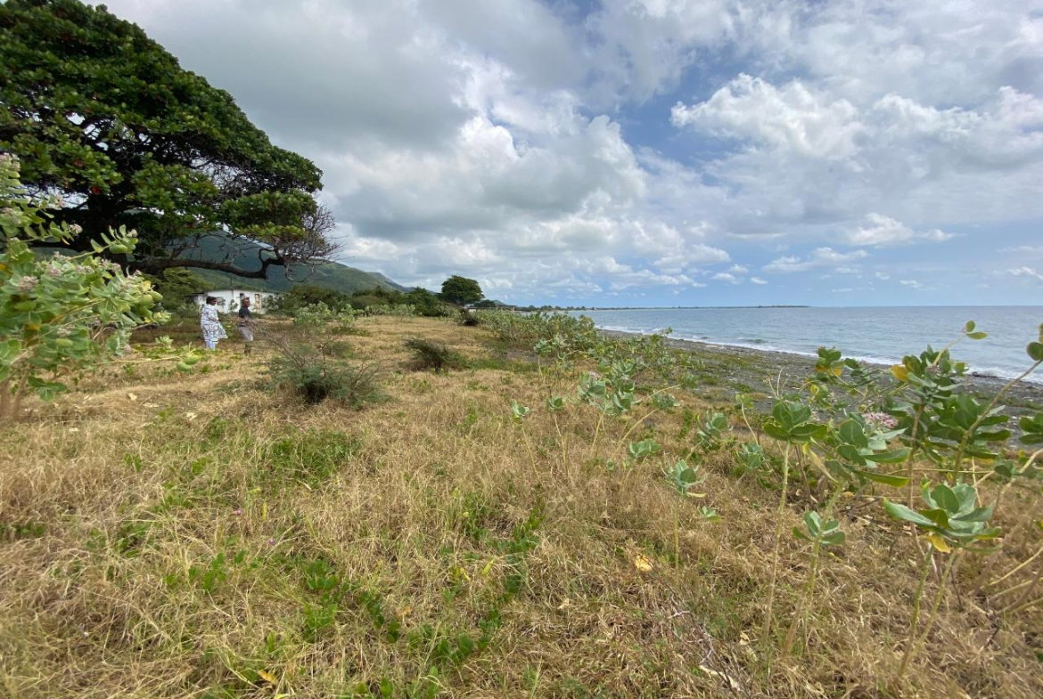 Eighteenth image of Part of Pondside Road in Yallahs, St. Thomas, Jamaica - property is For Sale