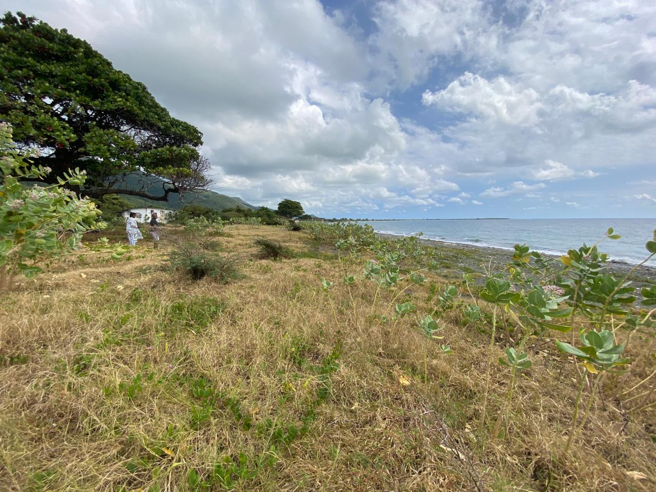 Eighteenth image of Part of Pondside Road in Yallahs, St. Thomas, Jamaica - property is For Sale