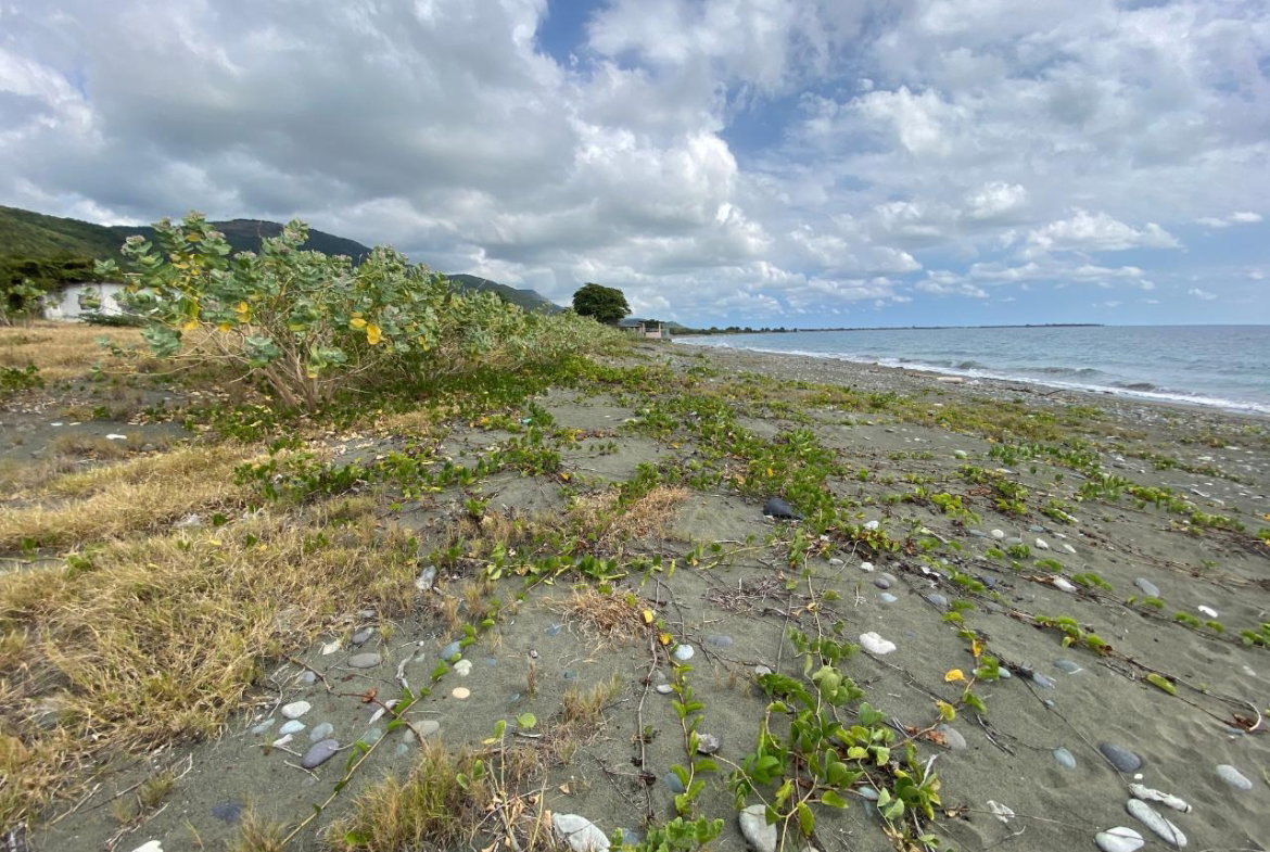 Twenty-First image of Part of Pondside Road in Yallahs, St. Thomas, Jamaica - property is For Sale