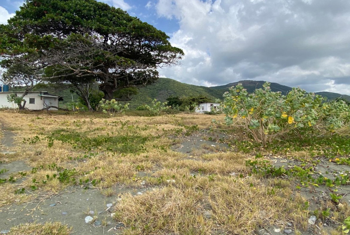 Twenty-Second image of Part of Pondside Road in Yallahs, St. Thomas, Jamaica - property is For Sale