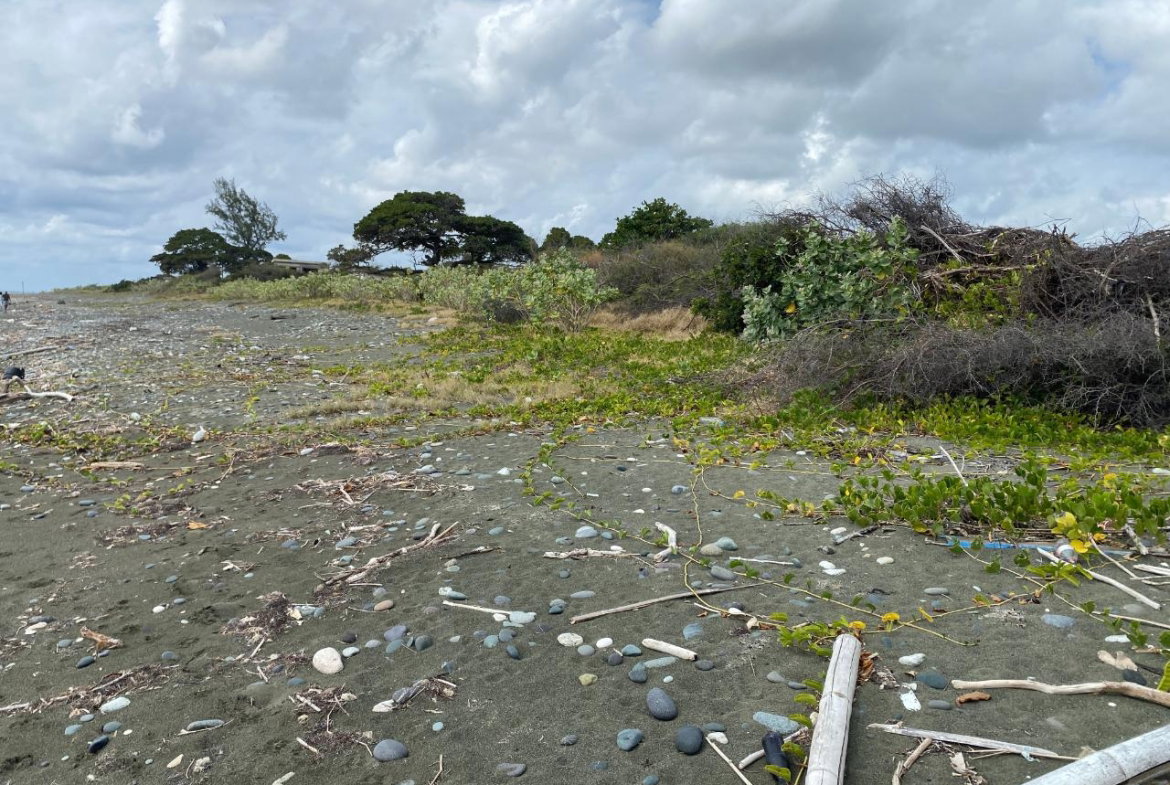 Twenty-Seventh image of Part of Pondside Road in Yallahs, St. Thomas, Jamaica - property is For Sale