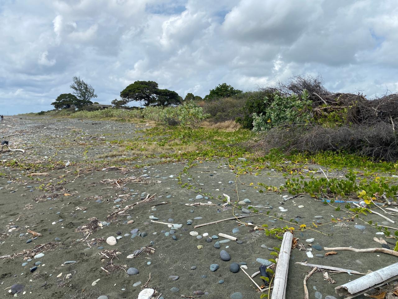 Twenty-Seventh image of Part of Pondside Road in Yallahs, St. Thomas, Jamaica - property is For Sale