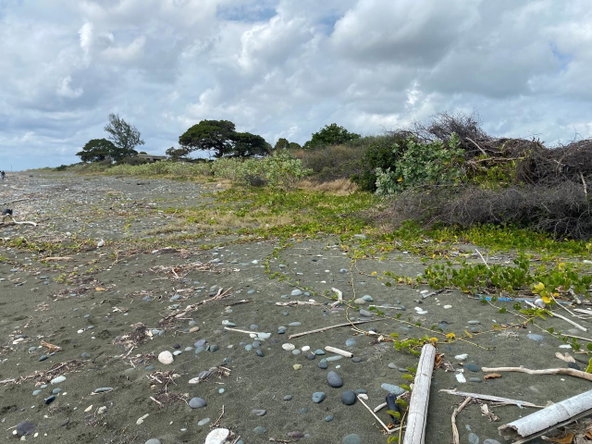 Twenty-Seventh image of Part of Pondside Road in Yallahs, St. Thomas, Jamaica - property is For Sale