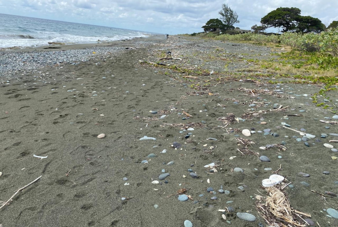 Twenty-Eighth image of Part of Pondside Road in Yallahs, St. Thomas, Jamaica - property is For Sale