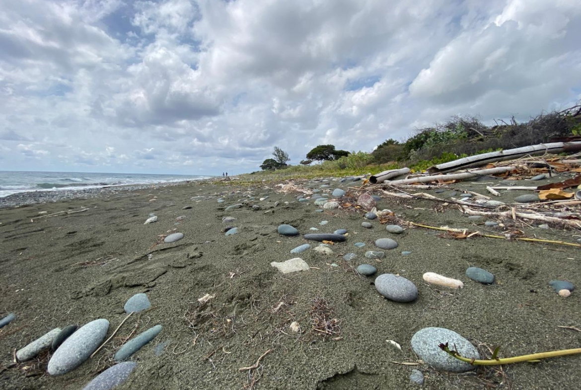 Thirtieth image of Part of Pondside Road in Yallahs, St. Thomas, Jamaica - property is For Sale