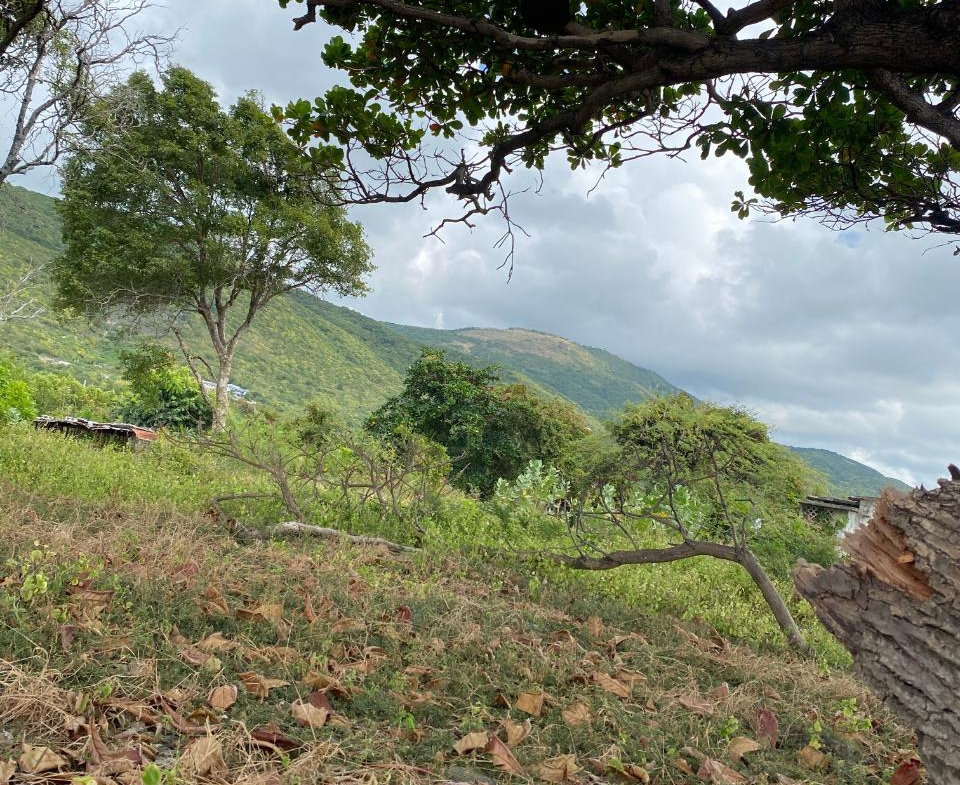 Fourth image of Part of Pondside Road in Yallahs, St. Thomas, Jamaica - property is For Sale