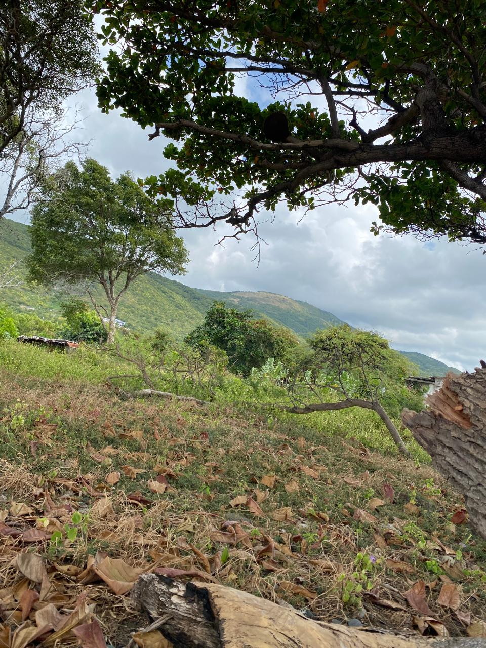 Fourth image of Part of Pondside Road in Yallahs, St. Thomas, Jamaica - property is For Sale