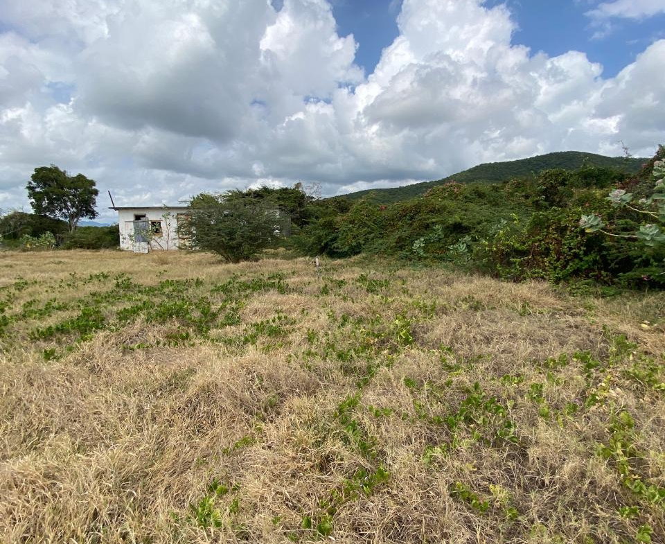 Sixth image of Part of Pondside Road in Yallahs, St. Thomas, Jamaica - property is For Sale