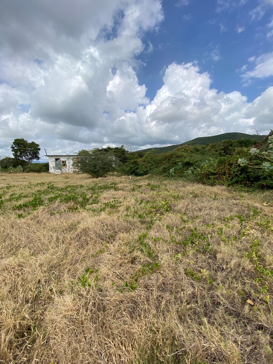 Sixth image of Part of Pondside Road in Yallahs, St. Thomas, Jamaica - property is For Sale