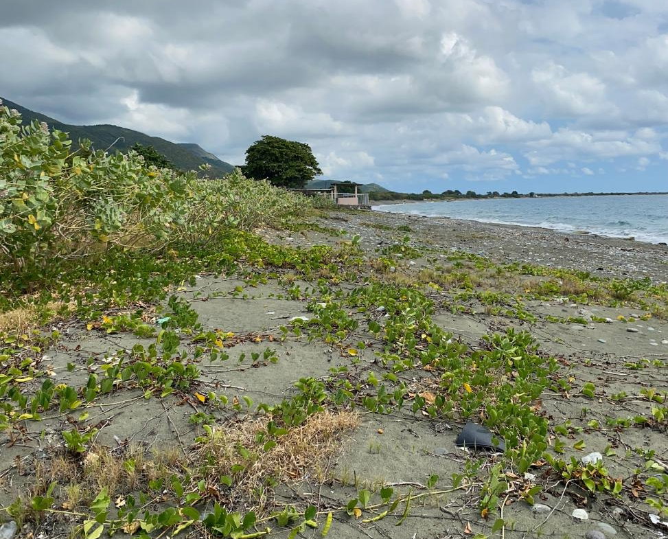 Eighth image of Part of Pondside Road in Yallahs, St. Thomas, Jamaica - property is For Sale