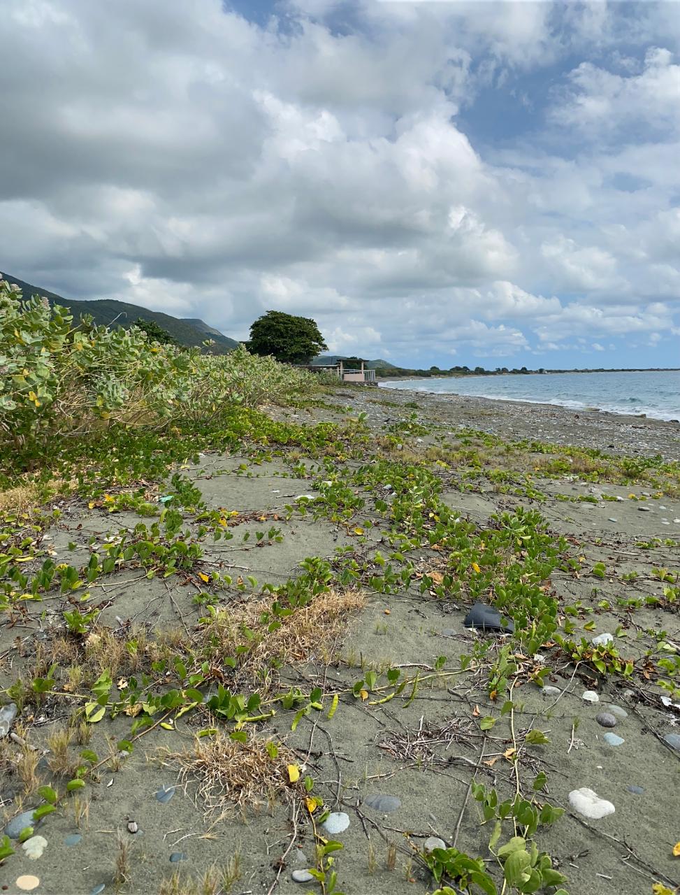 Eighth image of Part of Pondside Road in Yallahs, St. Thomas, Jamaica - property is For Sale