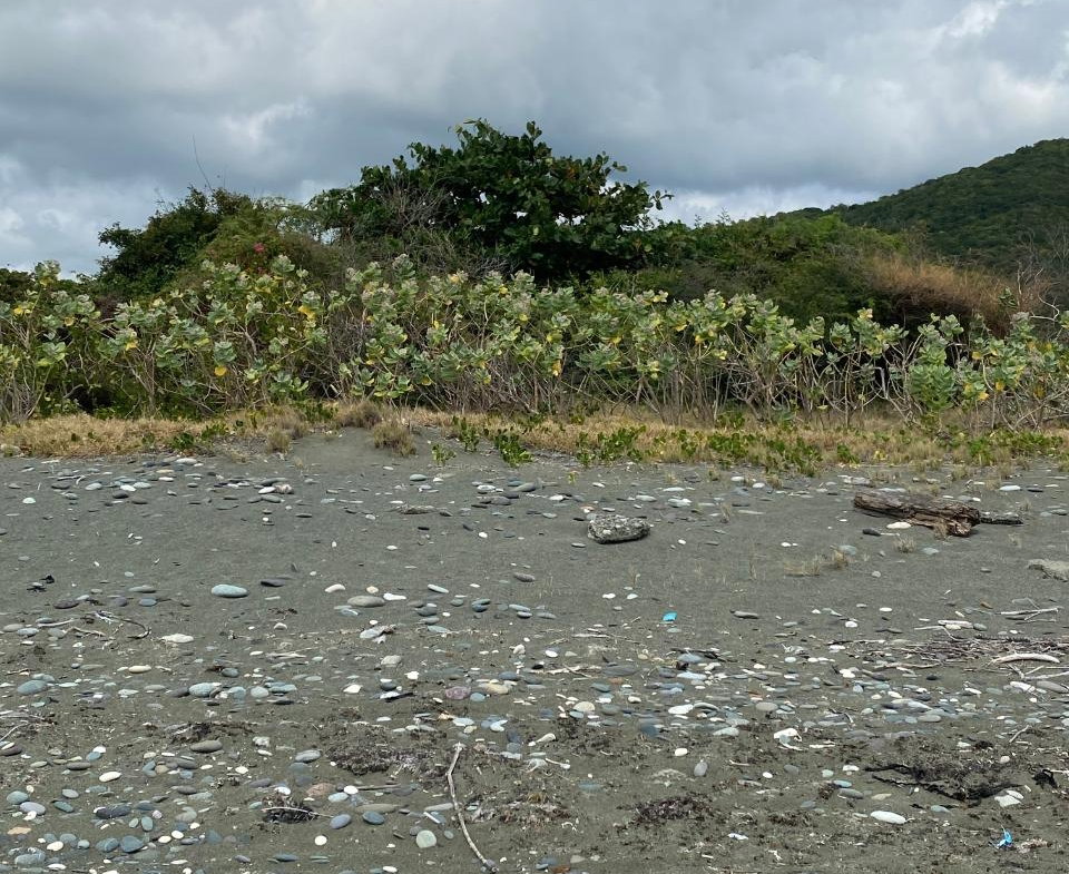 Ninth image of Part of Pondside Road in Yallahs, St. Thomas, Jamaica - property is For Sale