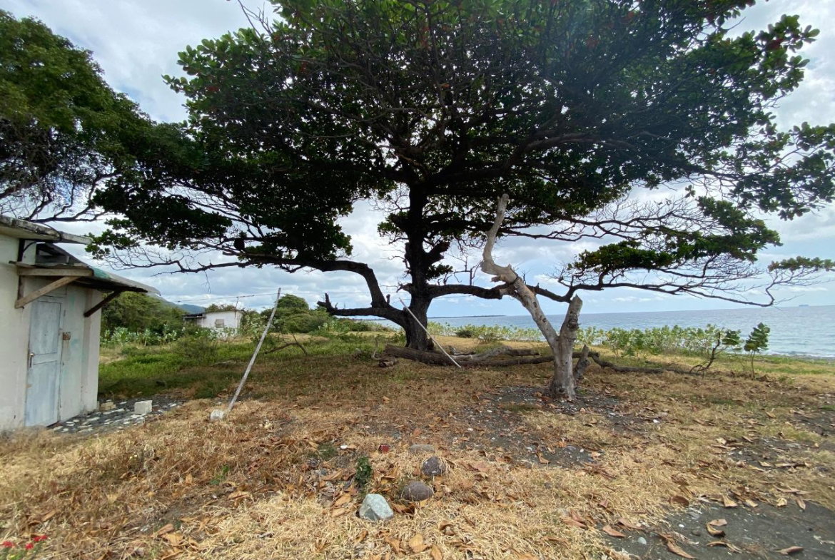 Tenth image of Part of Pondside Road in Yallahs, St. Thomas, Jamaica - property is For Sale