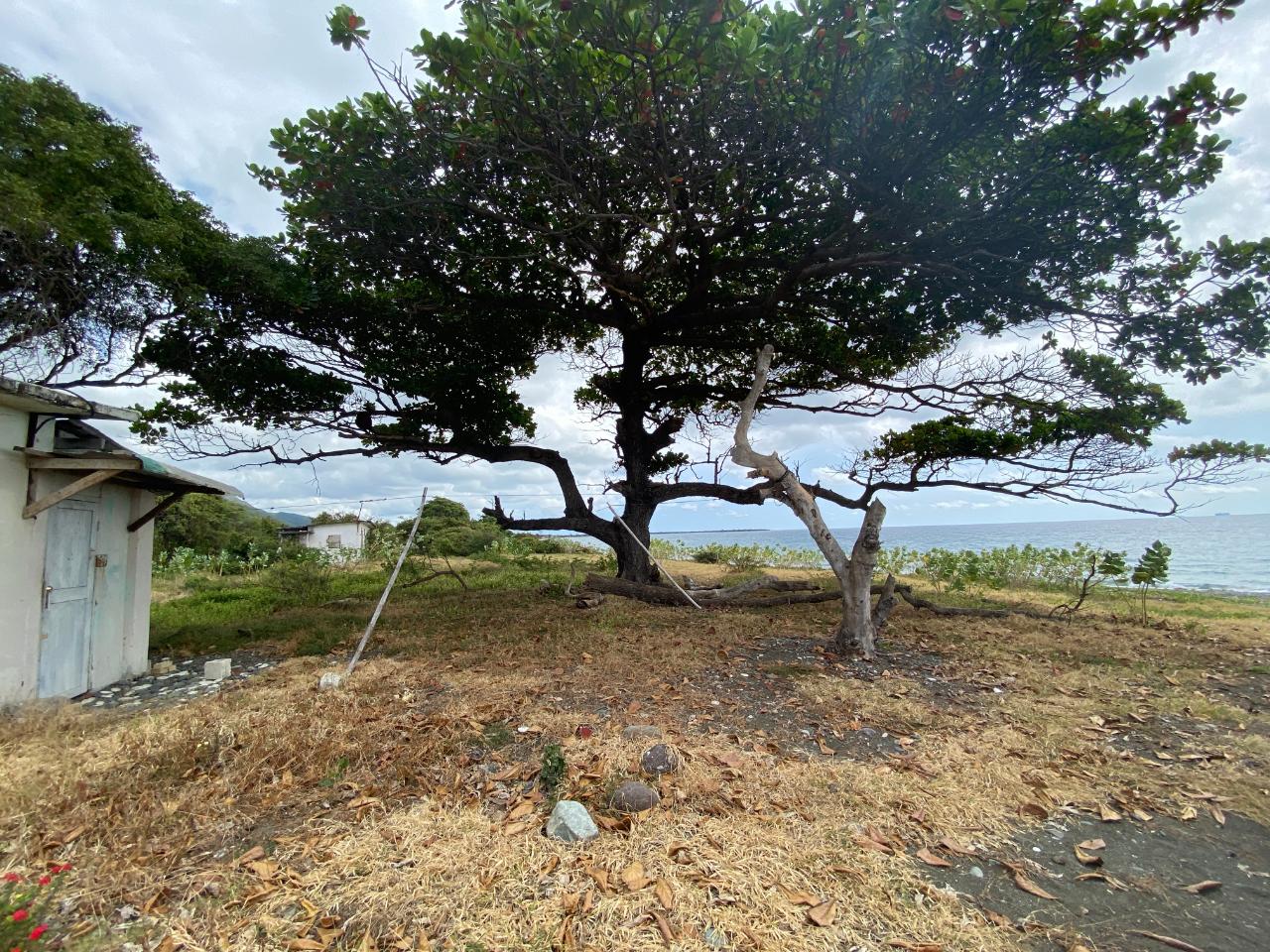 Tenth image of Part of Pondside Road in Yallahs, St. Thomas, Jamaica - property is For Sale