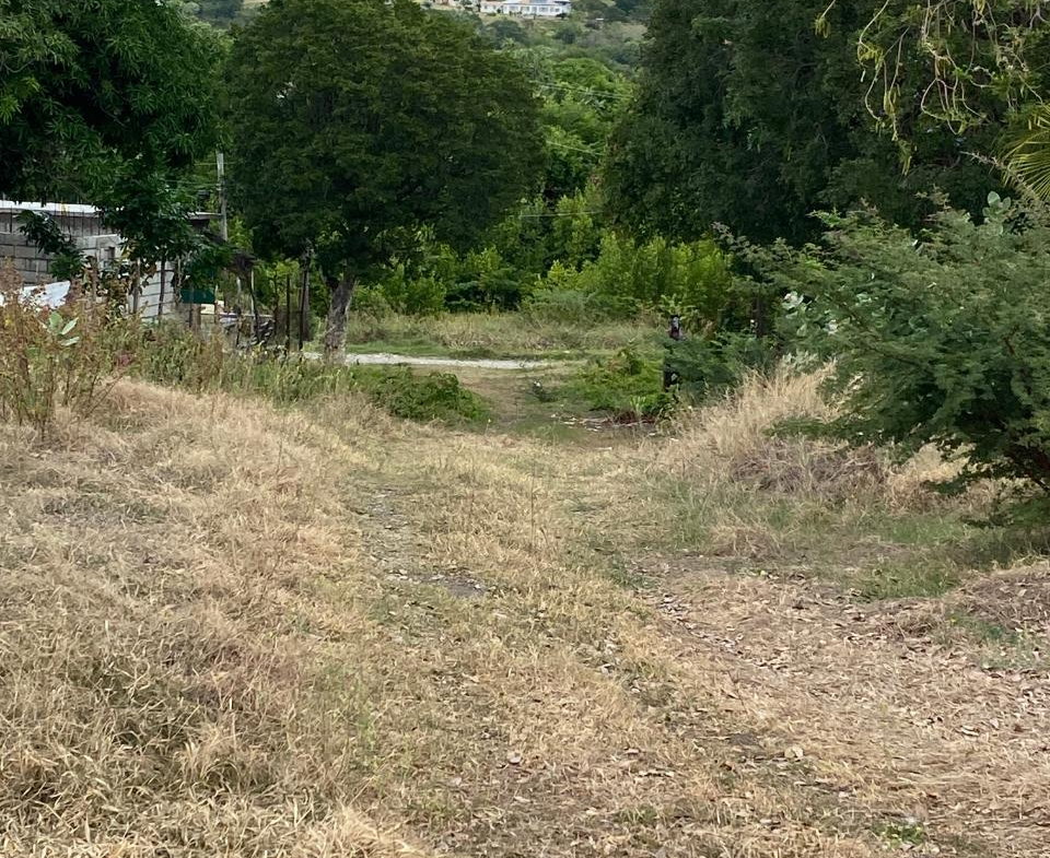 First image of Part of Pondside Road in Yallahs, St. Thomas, Jamaica - property is For Sale