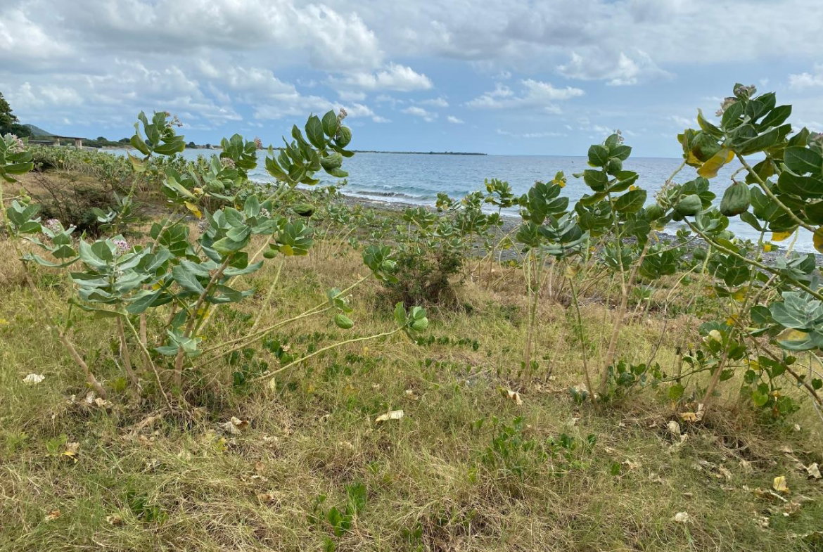 Thirteenth image of Part of Pondside Road in Yallahs, St. Thomas, Jamaica - property is For Rent