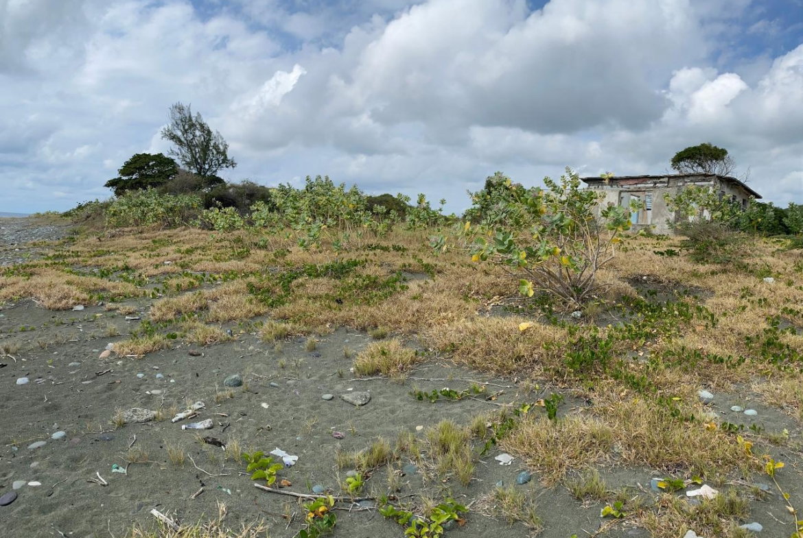 Twentieth image of Part of Pondside Road in Yallahs, St. Thomas, Jamaica - property is For Rent