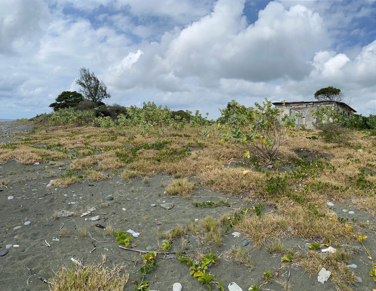 Twentieth image of Part of Pondside Road in Yallahs, St. Thomas, Jamaica - property is For Rent