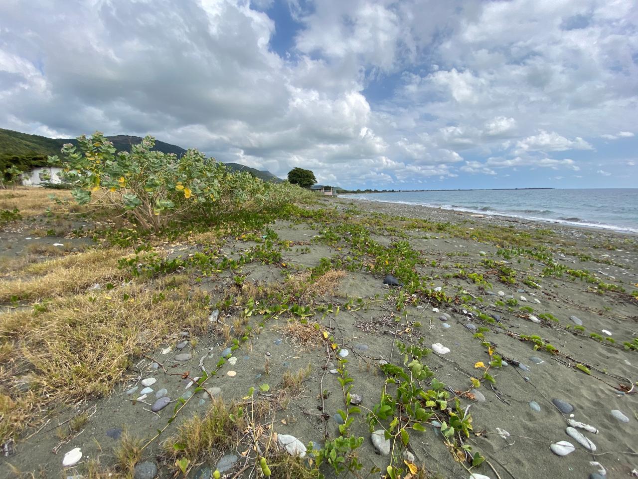 Twenty-First image of Part of Pondside Road in Yallahs, St. Thomas, Jamaica - property is For Rent