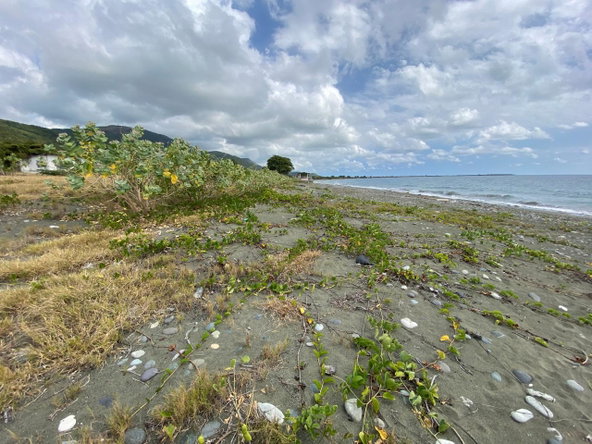 Twenty-First image of Part of Pondside Road in Yallahs, St. Thomas, Jamaica - property is For Rent