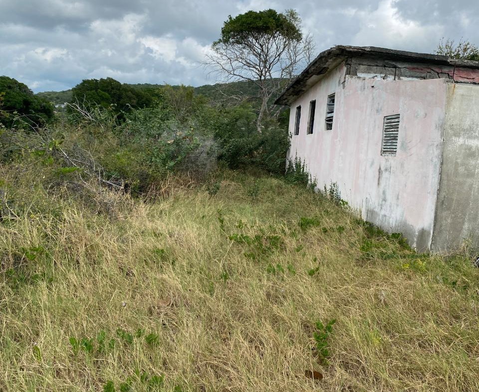 Fifth image of Part of Pondside Road in Yallahs, St. Thomas, Jamaica - property is For Rent
