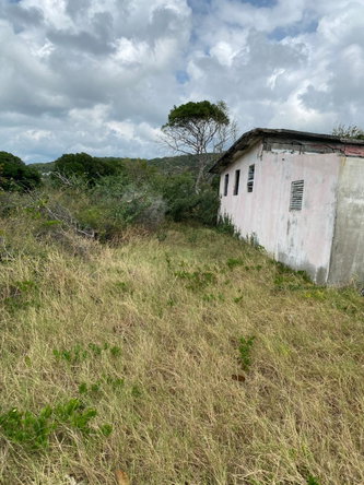 Fifth image of Part of Pondside Road in Yallahs, St. Thomas, Jamaica - property is For Rent