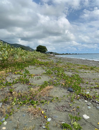 Eighth image of Part of Pondside Road in Yallahs, St. Thomas, Jamaica - property is For Rent