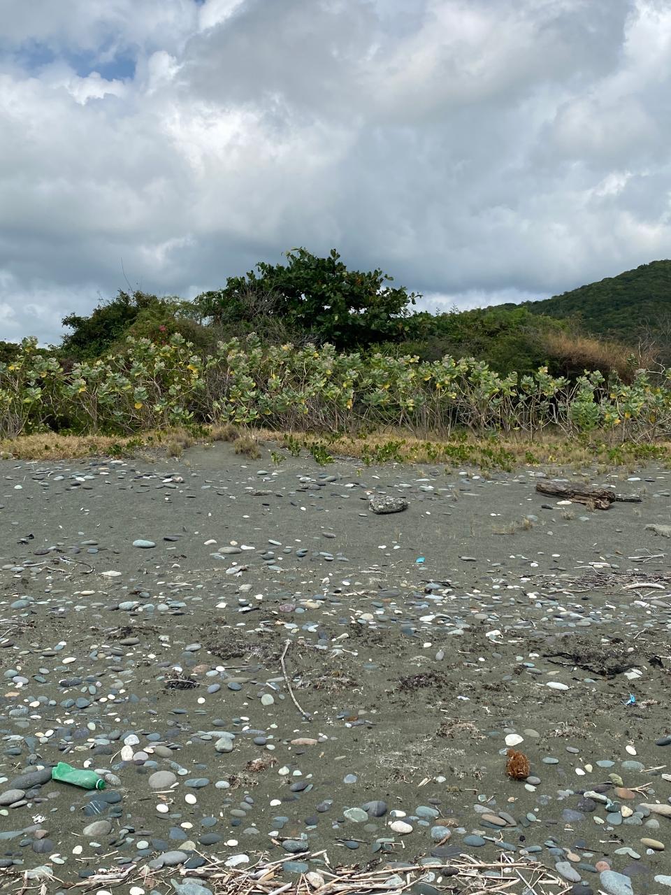 Ninth image of Part of Pondside Road in Yallahs, St. Thomas, Jamaica - property is For Rent