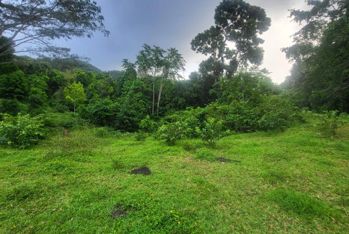 Second image of Crawle 11 in Crawle Halt, St. Catherine, Jamaica - property is For Sale