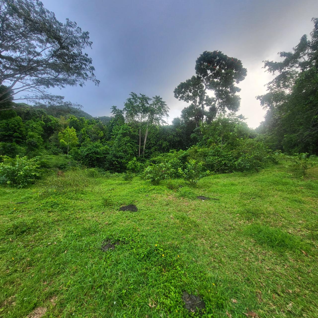 Second image of Crawle 11 in Crawle Halt, St. Catherine, Jamaica - property is For Sale