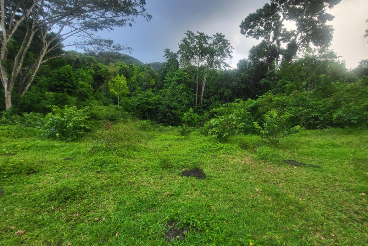 Third image of Crawle 11 in Crawle Halt, St. Catherine, Jamaica - property is For Sale