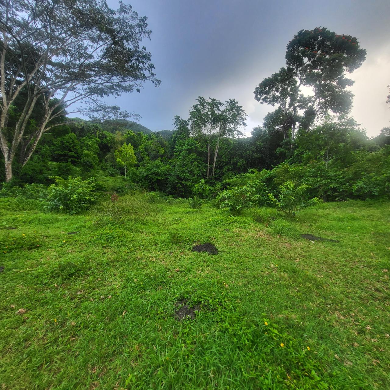 Third image of Crawle 11 in Crawle Halt, St. Catherine, Jamaica - property is For Sale